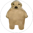 miromi gxx profile picture