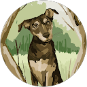 Maicol De la Cruz profile picture