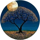 Jerelyn Rodriguez profile picture